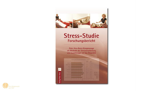 Buch: Stress-Studie/ Forschungsbericht