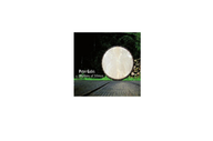 CD: Rhythms of Silence