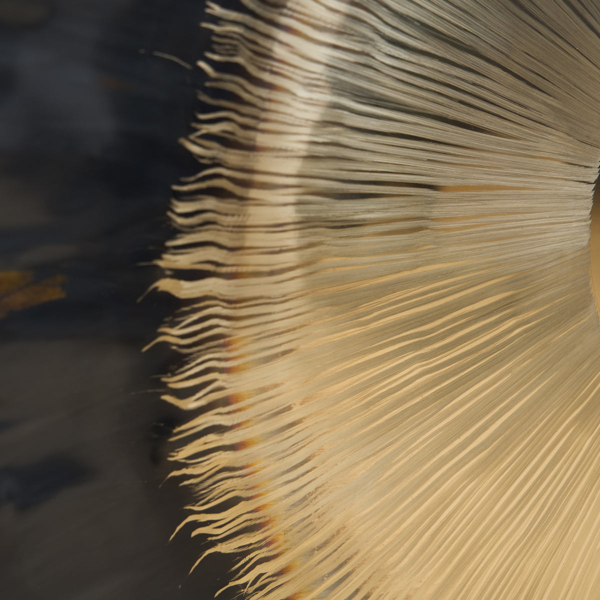Hess Sound Gong – Luna