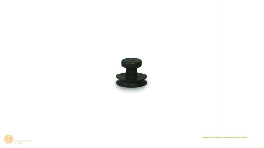 Suction lifter