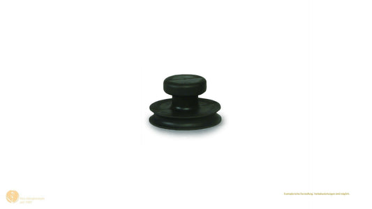 Suction lifter